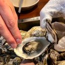 통굴통굴 이미지