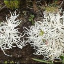 스포짐 휘트니스 이미지