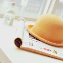 유브이 카카오 검색결과