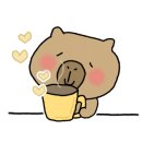 카페포도나무