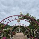 인천부현초 이미지