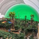 잔디놀이터 이미지