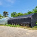 증신로325번길 이미지