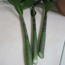 돈나와라뚝딱 이미지