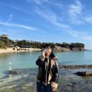 사상지하철역 5번출구 버거킹 앞 | [대마도]부산에서 배타고 대마도 여행-1박2일 일정 공유, 미우다해변, 일본 간식 추천, 대마도 놀거리