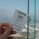 탄현동 소로 3-501호 | 소노펠리체델피노 후기① (체크인, 더엠브로시아, 골드스위트 룸컨디션)