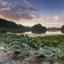 와우호수공원 이미지