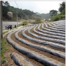 아름 발전소 이미지