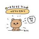 고고펫 이미지