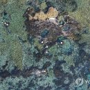 제주 창작무 이미지