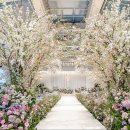 (유)수성종합식품 | W2. [대구 웨딩홀 투어] - 호텔 수성 (블레스홀, 피오니홀)