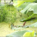 서일농장 이미지