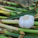 수화농장 이미지