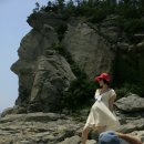 공룡의숨결 이미지