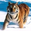 안경사랑 달동점 이미지