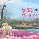 가산수피아 이미지