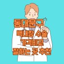 다보는성모안과의원 티스토리