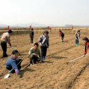 교육사회학 이미지