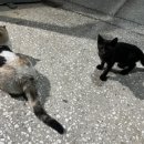 송림로 5 이미지