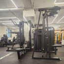 머슬휘트니스 이미지