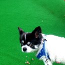 황금누리동물병원 이미지