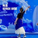 묵호바다협동조합 | 강원도 묵호 당일치기 여행 코스 뚜벅이 여행지