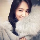 풍성유리