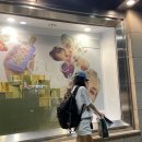 5-061 TS | 다시 돌아온 주여너블..하하/장마철 OOTD/"장마 이 미친 거 또 내리네"/장마철 반바지 코디/장마철 생일...