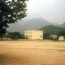 천포초등학교 이미지