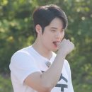 팜트리 이미지