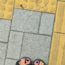 (주)미플