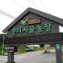 미식가농장 이미지