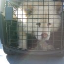 대청면사무소 이미지