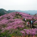 지리산세탁소