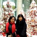 호두가끼인형 이미지