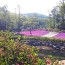 율곡수목원(3) 이미지