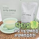 양배추즙 추천 닥터효 더건강한 유기농 옥주부 양배추즙 후기