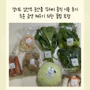 우리농산물마트(다산점) | 2025 경기도 임산부 농산물 꾸러미 주문 솔직 후기 농산물 지원사업 진짜 꿀팁 포함