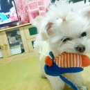 이박사동물병원 이미지