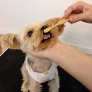 신갈유치원 이미지