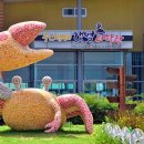 무안황토갯벌랜드 오토캠핑장 이미지