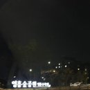 영흥수목원 야외 | 영흥수목원 야간개장 후기 :: 수원 광교 야경 가을 가볼만한곳 밤 데이트 주차 할인 정보