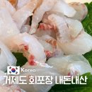 그날그날 | 거제도 횟집 회포장 보다는 100% 자연산 가성비 좋은 곳 솔직후기