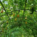 장승포체육공원 이미지