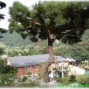 강에가펜션 이미지