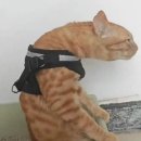 오월이네 이미지