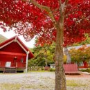 방화동가족휴가촌 이미지