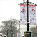 마로니에공원 이미지