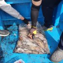 더드림호 이미지