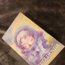 빛의 스펙트럼 | [스컬판다 빛의 정원 시리즈] 부드럽게 피어난 블로썸🌸 첫 개봉 후기 (POP MART 정품)